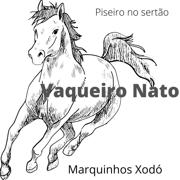 Marquinhos Xodó's avatar image