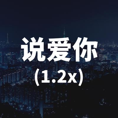 说爱你(1.2x)'s cover