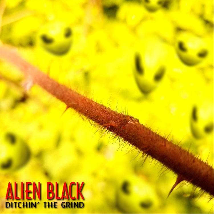 Alien Black's avatar image