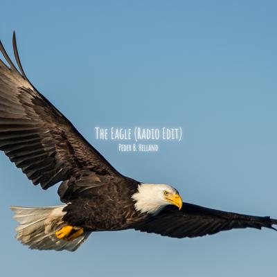 The Eagle (Radio Edit)'s cover