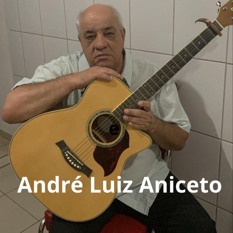 André Luiz Aniceto's avatar image