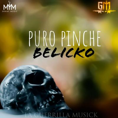 Puro Pinche Belicko's cover