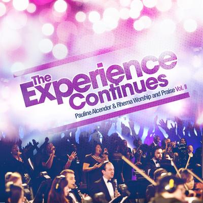 The Experience Continues's cover