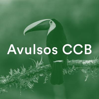 Se alegria se afastou de ti (CCB Avulsos)'s cover