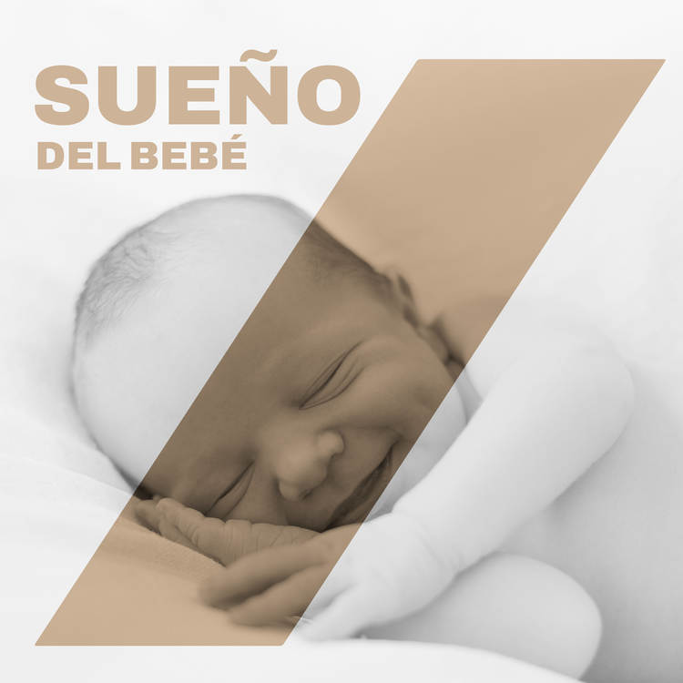 Canciones de Cuna para Bebés Académico's avatar image