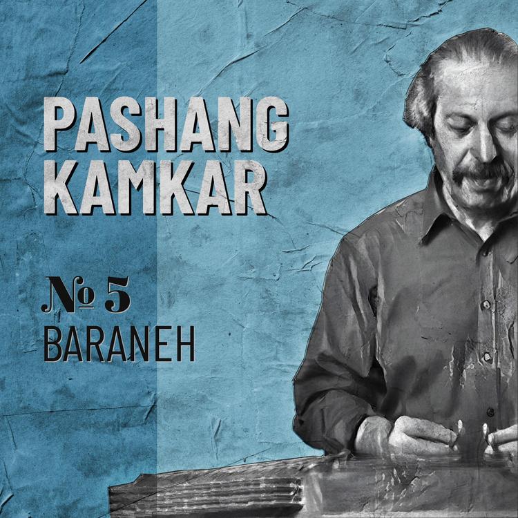 Pashang Kamkar's avatar image