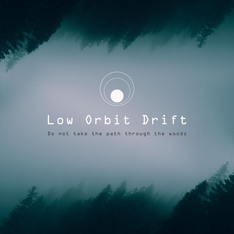 Low Orbit Drift's avatar image