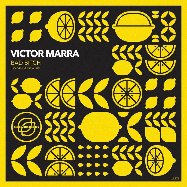 Victor Marra's avatar image