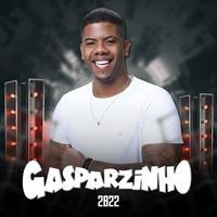 Gasparzinho's avatar cover