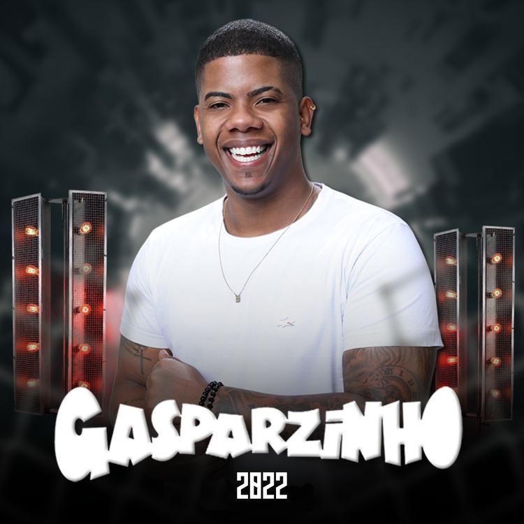 Gasparzinho's avatar image