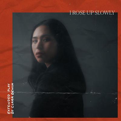 I Rose Up Slowly's cover