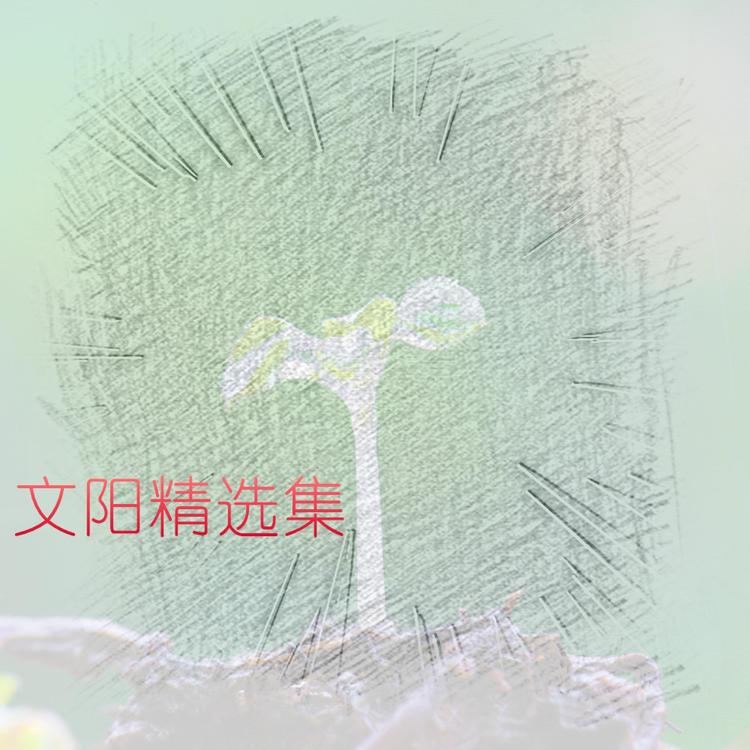 文阳's avatar image