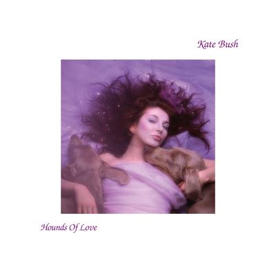 Hounds Of Love's cover