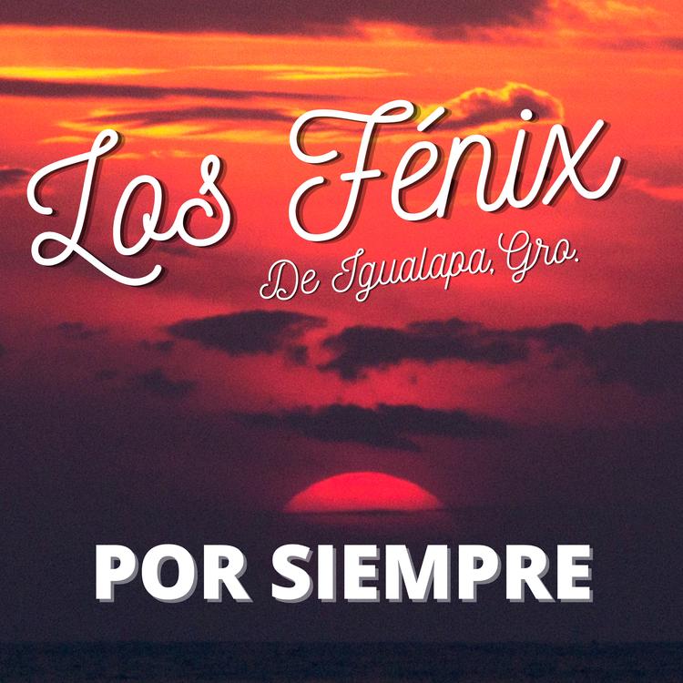 Los Fénix de Igualapa, Gro's avatar image