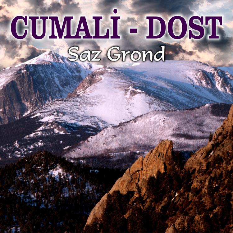 Cumali Dost's avatar image