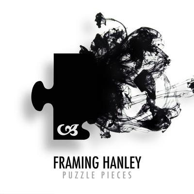 Puzzle Pieces By Framing Hanley's cover