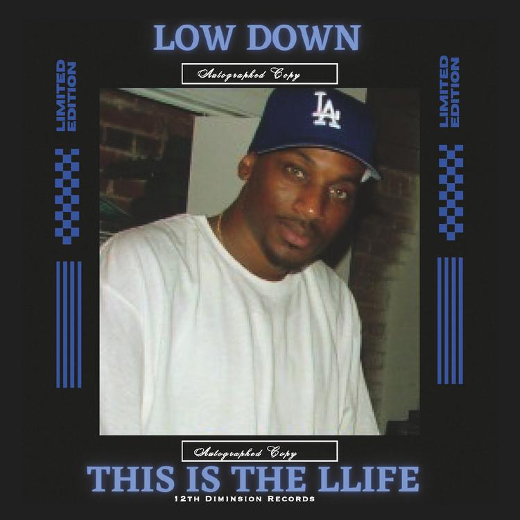 LOW DOWN's avatar image
