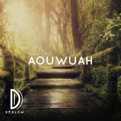 AOUWUAH's cover