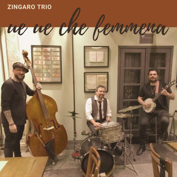 Zingaro Trio's avatar image