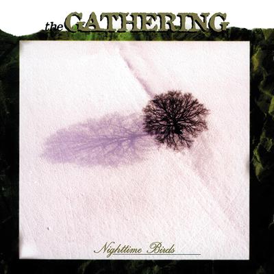 Shrink By The Gathering's cover