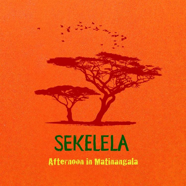 Sekelela's avatar image