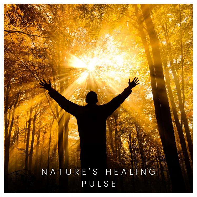 Healing Sounds Of Shaman's avatar image