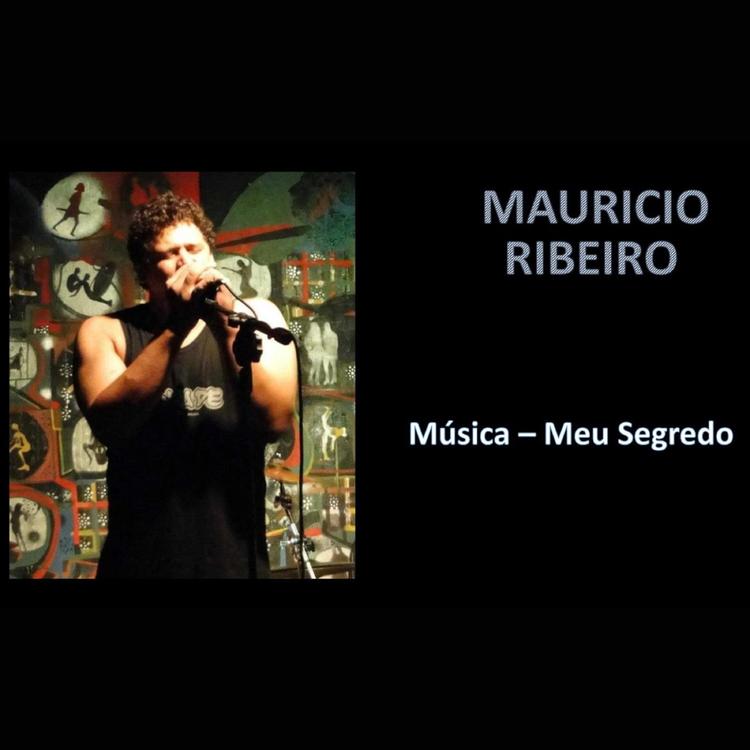 Maurício Ribeiro's avatar image