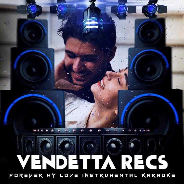 Vendetta Recs's avatar image