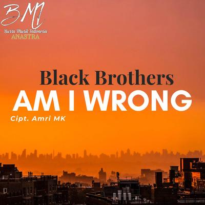Am I Wrong's cover