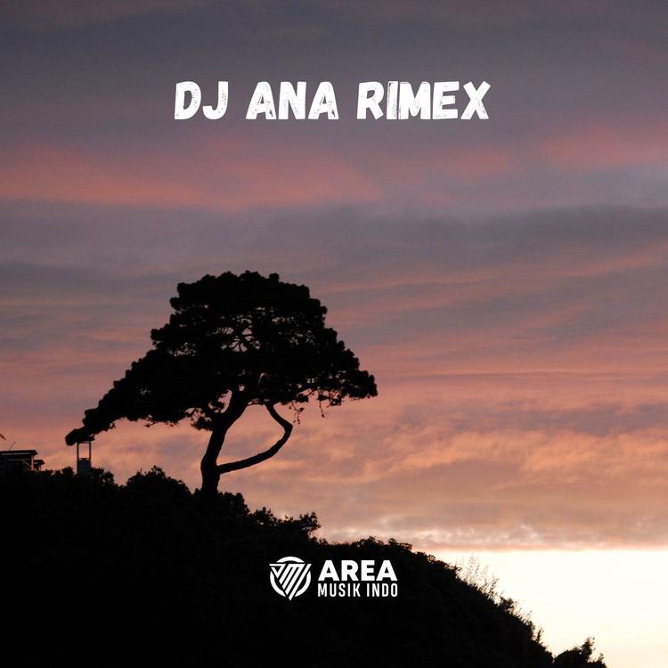 DJ Ana Rimex's avatar image