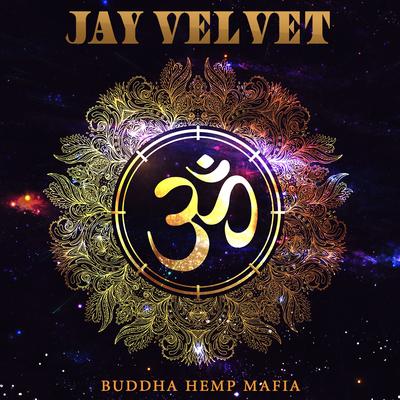 Jay Velvet's cover