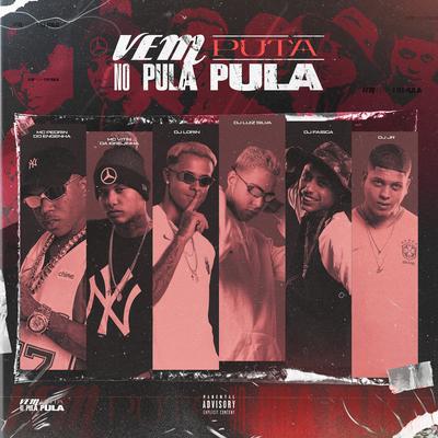 Vem Puta No Pula Pula By Mc Vitin Da Igrejinha, Dj Luiz Silva, DJ JR Oficial, Dj Lorin, Dj Faisca, Mc Pedrin do Engenha's cover