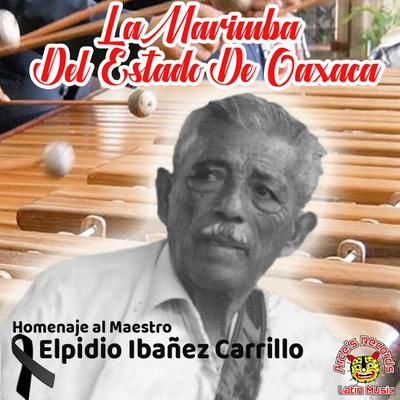 Homenaje Al Maestro Elpidio Ibañez Carrillo's cover