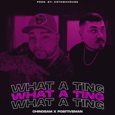 What a Ting's cover