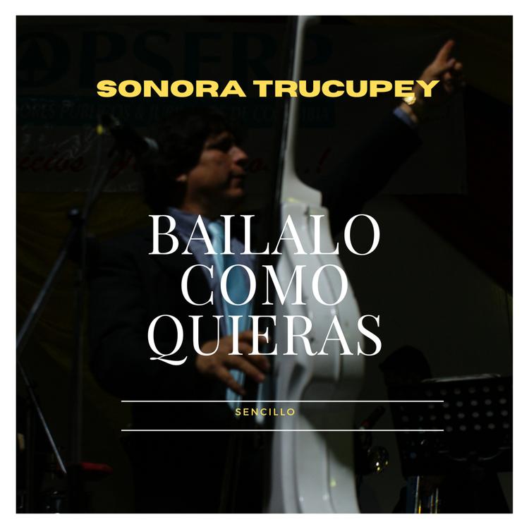 Sonora Trucupey's avatar image