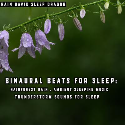 3 Hz Delta Wave and Rain for Deep Sleep's cover