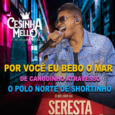 Por Você Eu Bebo o Mar de Canudinho Atravesso o Polo Norte de Shortinho (O Melhor da Seresta) By CESINHA MELLO's cover