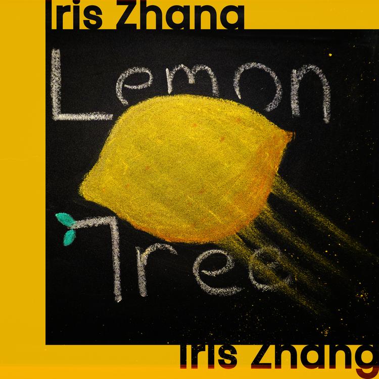 Iris Zhang's avatar image