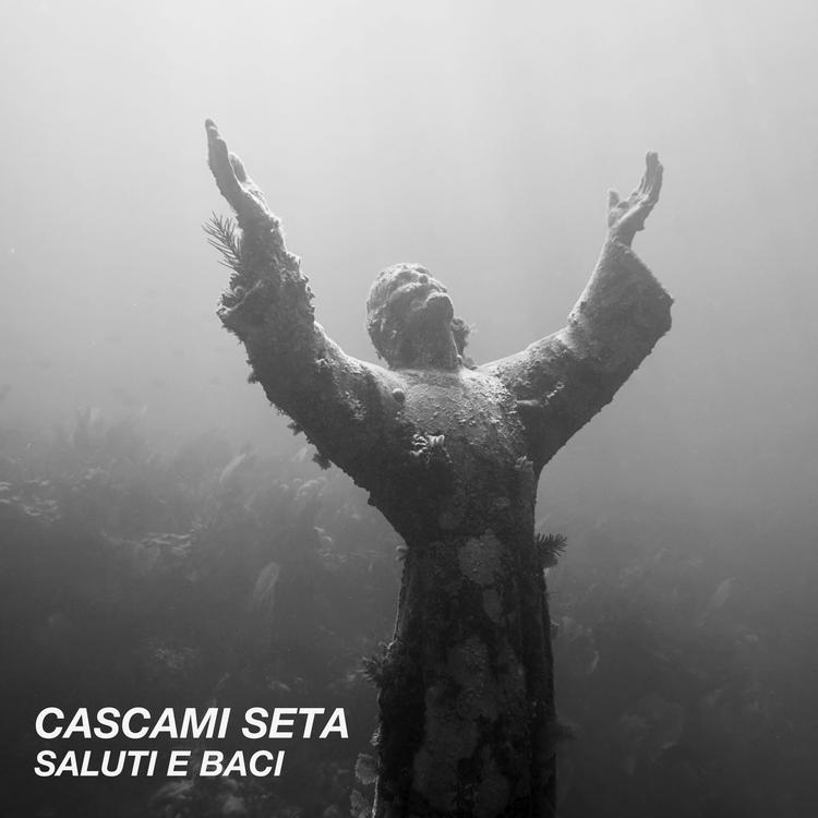 Cascami Seta's avatar image
