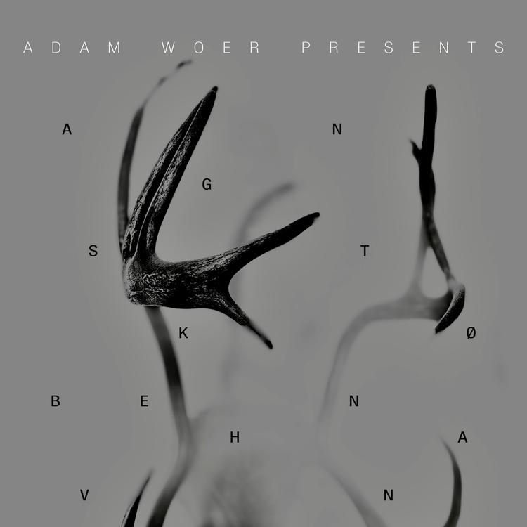 Adam Woer's avatar image