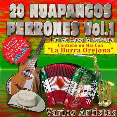 20 Huapangos Perrones, Vol. 1's cover