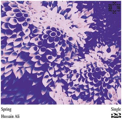 Spring By Hussain Ali's cover