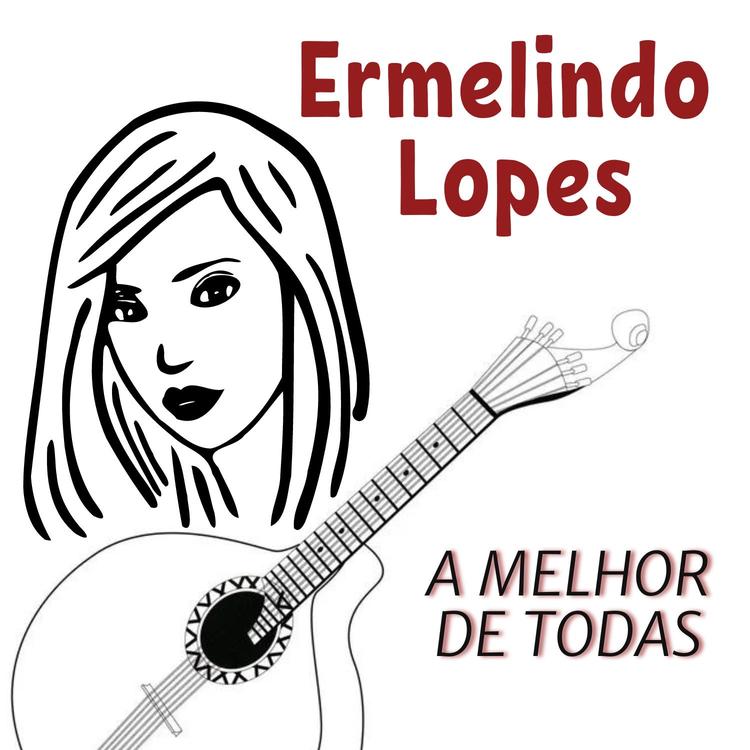 Ermelindo Lopes's avatar image