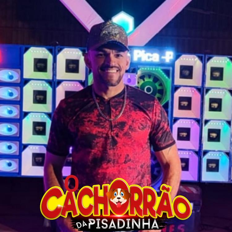 O Cachorrao da pisadinha's avatar image