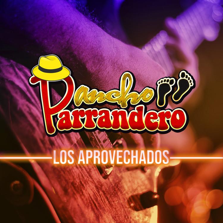 Pancho Parrandero's avatar image