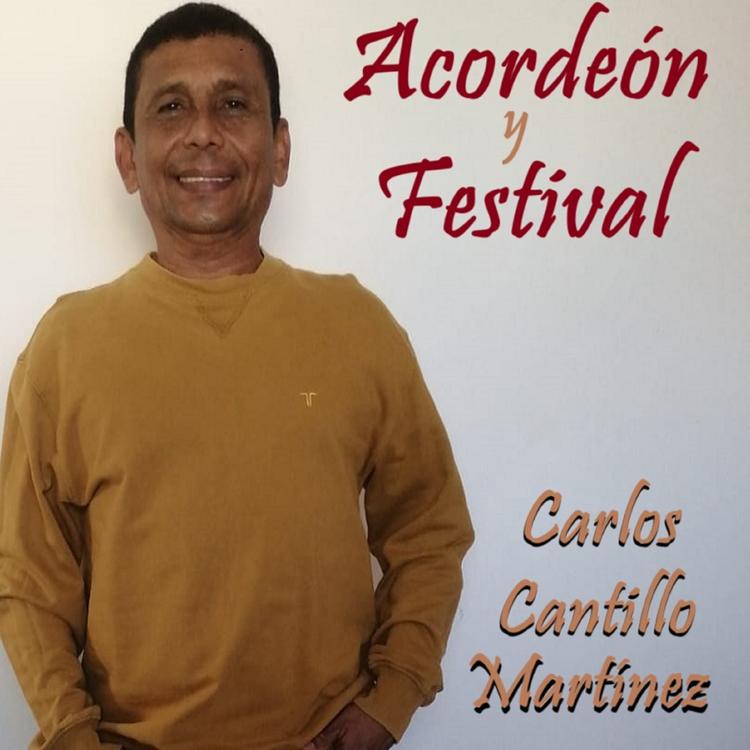 Carlos Cantillo Martínez's avatar image