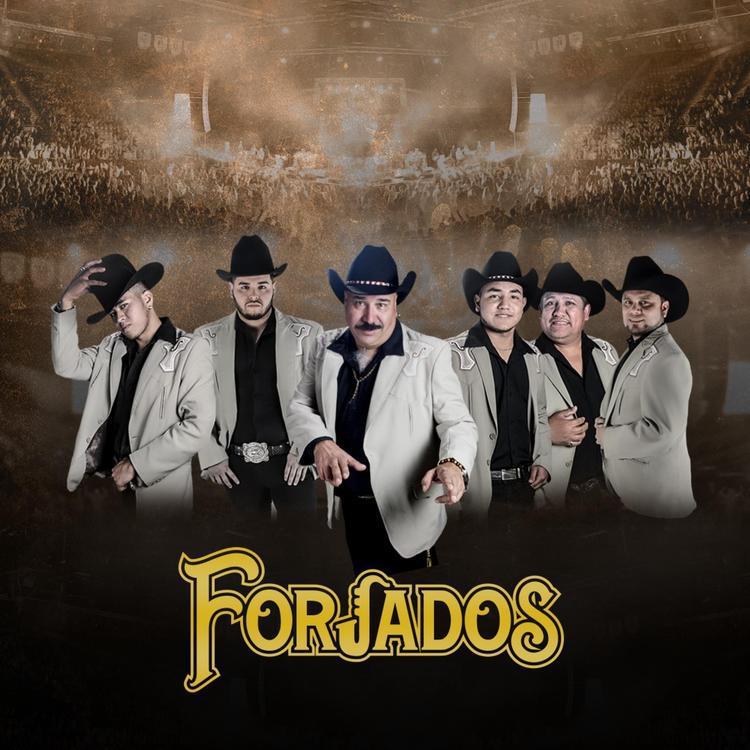 Forjados's avatar image