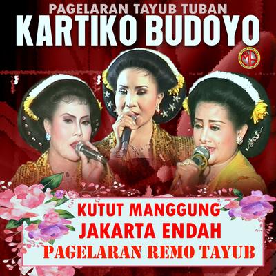 TAYUB KARTIKO BUDOYO, VOL.3's cover