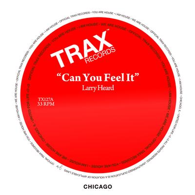 Can You Feel It (Instrumental) By Larry Heard's cover