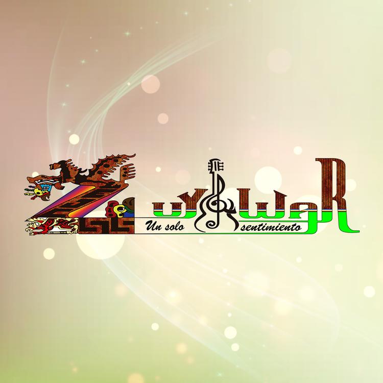 Zuyawar's avatar image